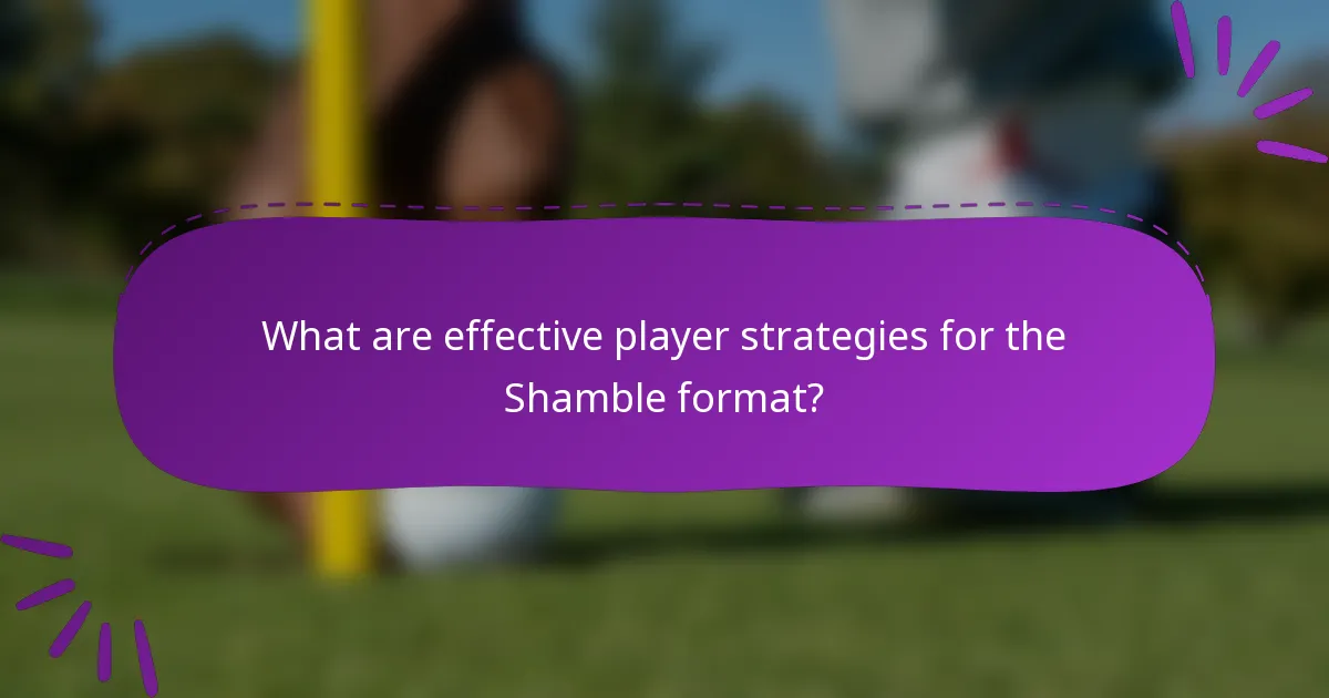 What are effective player strategies for the Shamble format?