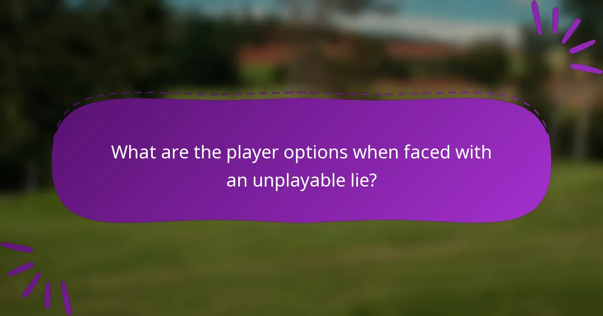 What are the player options when faced with an unplayable lie?